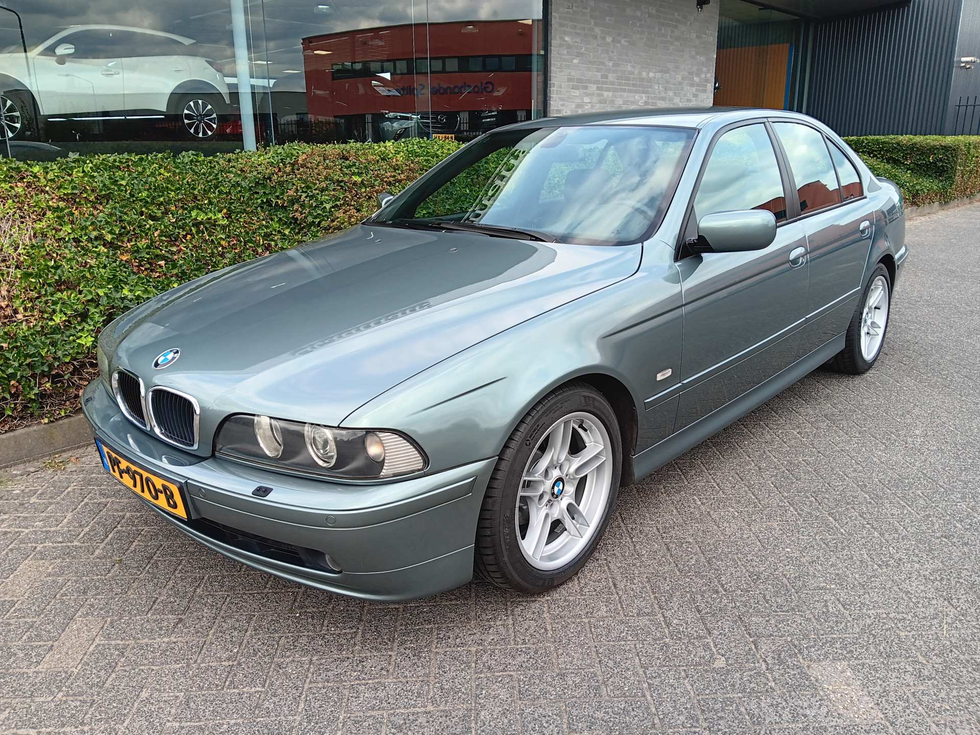 46528508-3.jpg