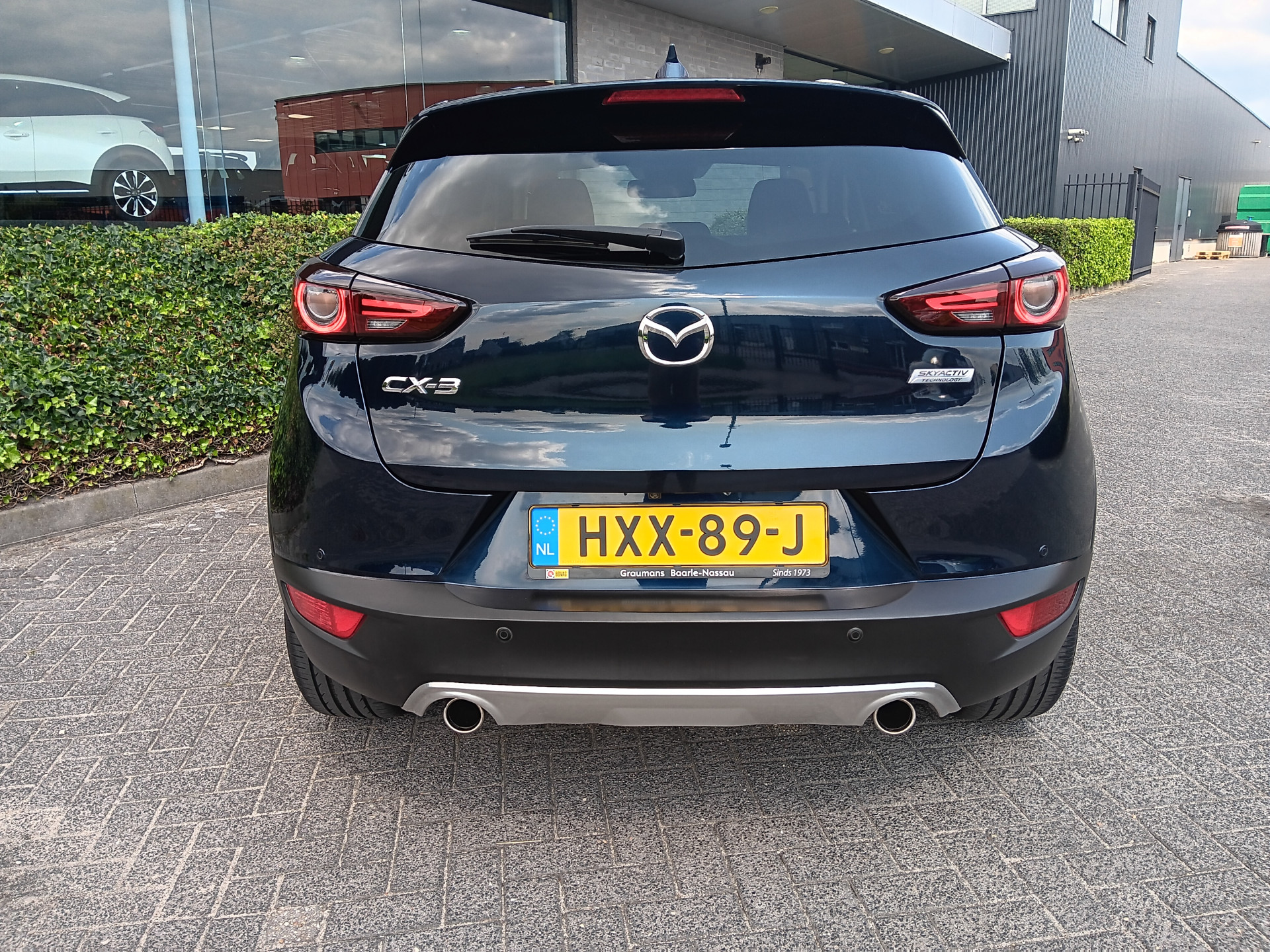 46866003-7.jpg