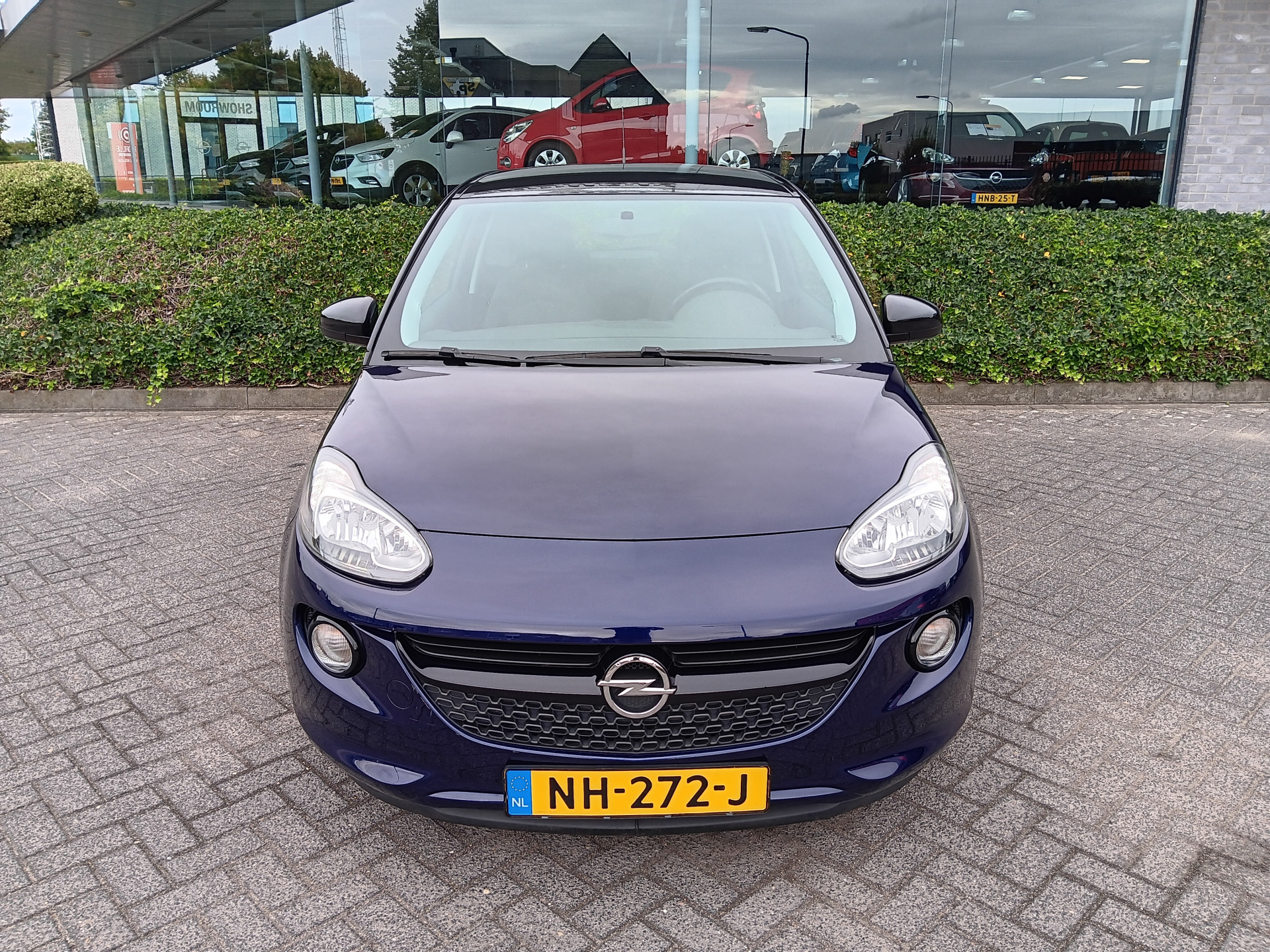 47710071-2.jpg
