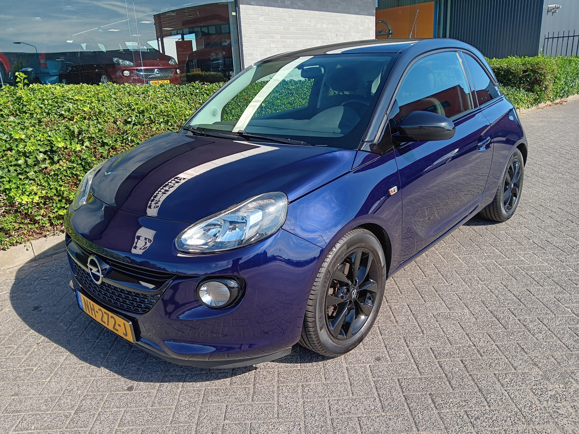 47710071-3.jpg